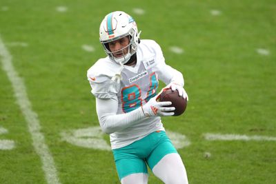 Report: Dolphins release WR from practice squad on Monday