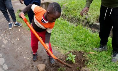 ‘It was incredible to see’: Kenyans dig deep on first national tree planting day