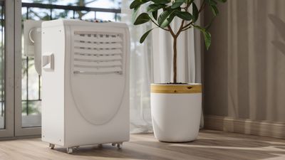 What size dehumidifier do I need? We've asked the experts so you don't have to