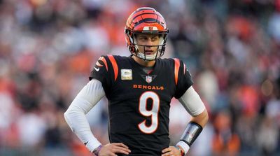 Bengals’ Joe Burrow Strongly Defends Tyler Boyd After Crucial Drop In Loss to Texans