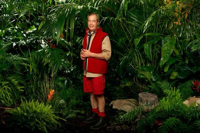 Nigel Farage wants to show people he is ‘not nasty’ as he joins I’m A Celebrity