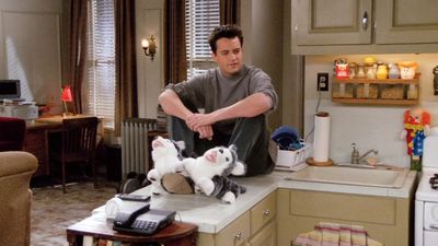 10 Friends Episodes That Made Me A Matthew Perry Fan