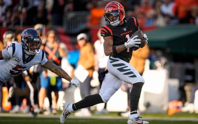Bengals sit in last place of strong AFC North division