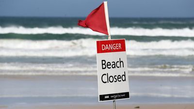 School beach ban backflip after rash of shark attacks