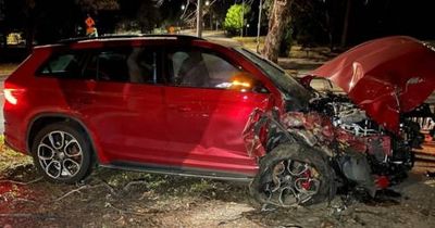 Alleged drunk driver smashes into tree