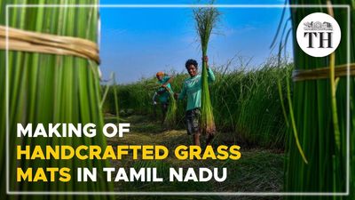 Watch | Making of handcrafted korai grass mats in Tamil Nadu