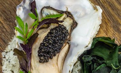 ‘Like a maternity ward’: how massaging fish can produce ‘no-kill caviar’