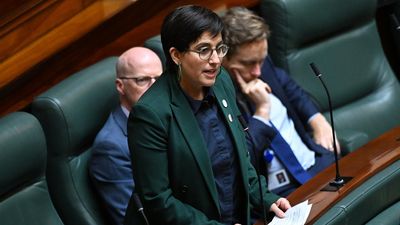 Vic Greens MP handed parliament ban after protest photo