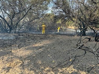 Firefighters extinguish small Maui wildfire that broke out during wind warning