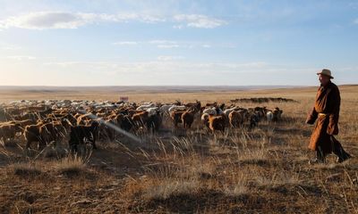 Dust, hail and bank loans: the Mongolian herders facing life without grass