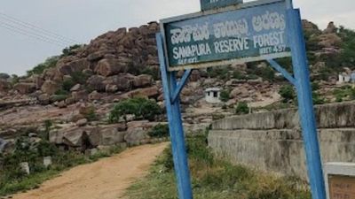 Action sought against private resorts for conducting night safari in reserve forest area in Koppal district