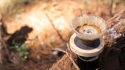 How to dispose of coffee grounds at camp