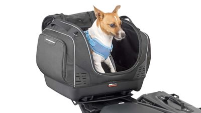 Givi T525 Pet Bag: Share The Fun Of Two Wheels With Your Furry Friends