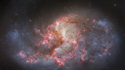 Hubble Telescope revisits gorgeous spiral galaxy, offering a newly filtered view (photo)
