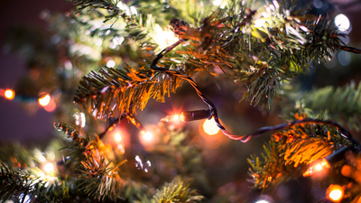 These are the 3 smart Christmas tree lights you need for the festive season