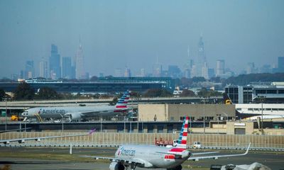 Horse breaks free mid-air, forcing cargo plane’s return to New York