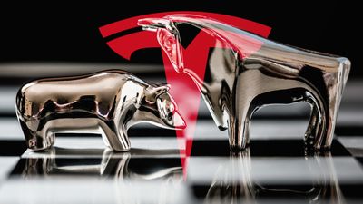 Tesla bulls and bears agree on one important point