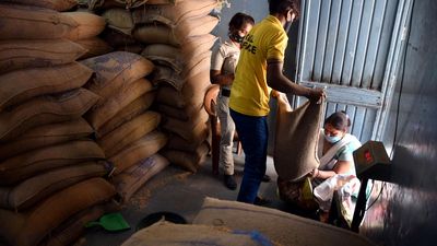 Food Ministry silent on extending free grains scheme