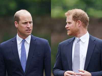‘No going back’ for William and Harry, royal writer Omid Scobie says