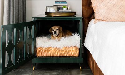 Custom showers and designer crates: welcome to the ‘barkitecture’ boom