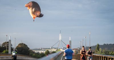 Skywhale and Skywhalepapa take flight once again