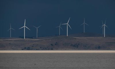 Windfarm development could be even harder under NSW plan, renewables sector fears