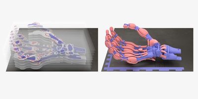 Robotic Hand With Bones, Ligaments And Tendons Created For First Time Using 3D Printing