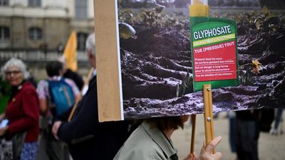 Green groups condemn EU's renewal of controversial glyphosate weedkiller