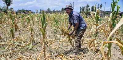 Climate change and farming: economists warn more needs to be done to adapt in sub-Saharan Africa