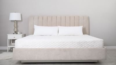 Is there such a thing as a mattress for life? We explore forever warranties