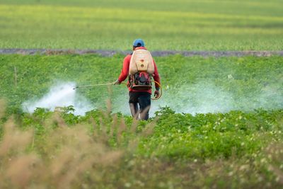 Pesticides are reducing sperm counts