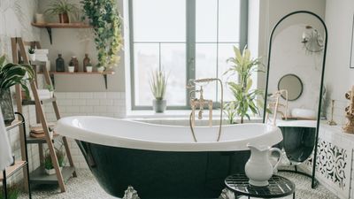 The best plants for a small bathroom that we believe are as necessary as your toiletries