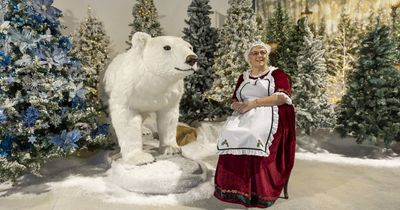 'It's a wonderful experience': The magic of Christmas comes alive at North Pole Lane