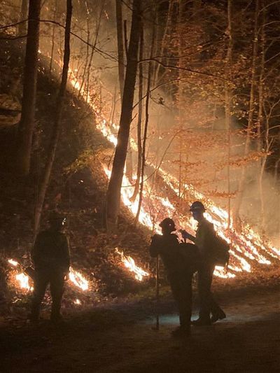 Wildfires, drought lead to campfire ban in Daniel Boone National Forest
