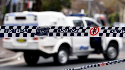 Four arrested after 4WD crashes into 30 cars in Sydney