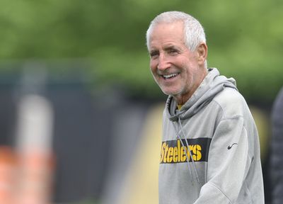 Steelers ST coordinator Danny Smith suffered torn rotator cuff in sideline dust-up