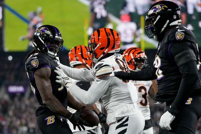 Bengals fans talk Joe Burrow’s injury and the future after loss to Ravens
