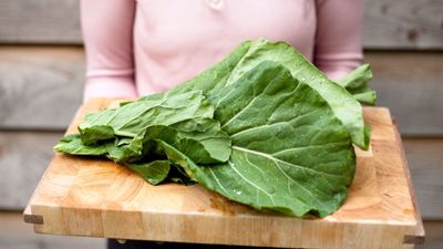 How to grow collard greens – and the best ways to harvest for a long cropping season