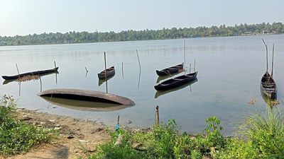Fishers worried as catch plummets in Chettuva estuary