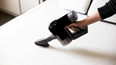 How to remove mold from a mattress: 3 pro tips from a cleaning expert