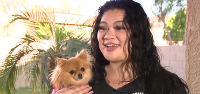 Missing pomeranian Princess reunited with family five years after ‘kidnapping’