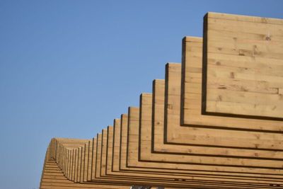 What are Lumber Futures Telling Us About the Economy?