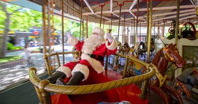 Outdoor dining fast-tracked as Canberra readies for holiday season