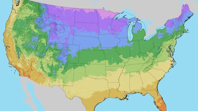 'It feels like I'm not crazy.' Gardeners aren't surprised as USDA updates key map