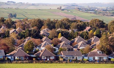 England’s nature chief calls for building on green belt to solve housing crisis
