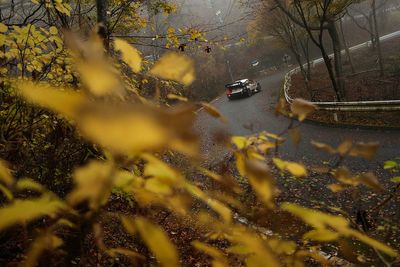 FIA explains bizarre WRC Rally Japan stage stoppage