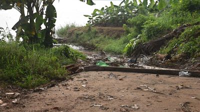 Illegal sand mining hits Chaliyar river banks