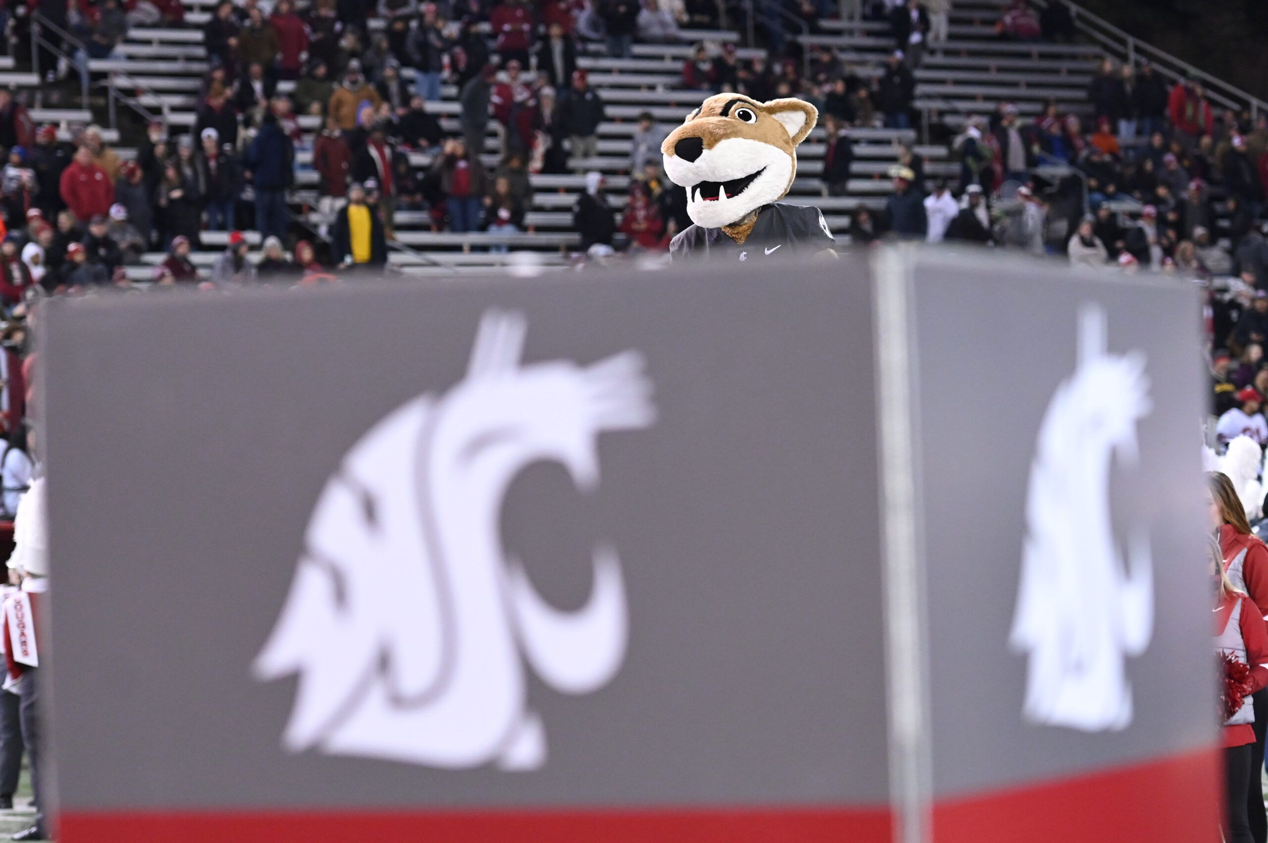 Colorado walkon QB catches own pass, throws pick on…