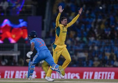 Australia could be India’s ‘banana skin’ in Cricket World Cup final
