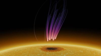 Astronomers spot aurora on the sun for the 1st time